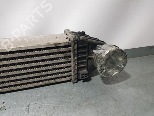 Intercooler MERCEDES-BENZ B-CLASS Sports Tourer (W245)  | BP8909165M30 