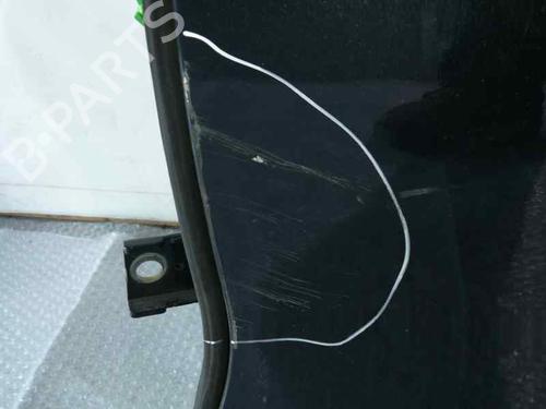 Left rear door CITROËN C4 II (NC_)  | BP6001754C4