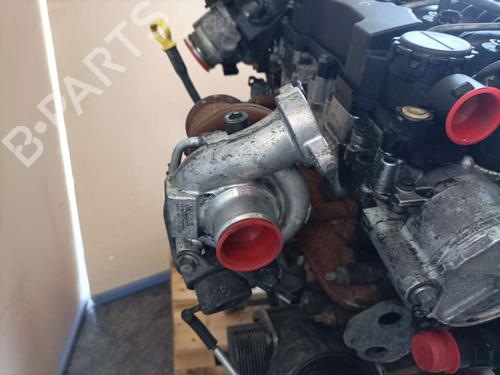 Engine FORD FIESTA VI (CB1, CCN)  | BP9048571M1 