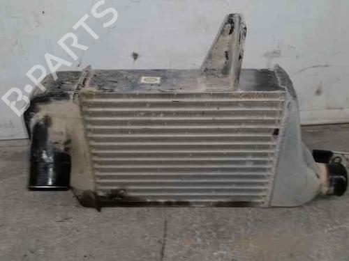 Intercooler TATA TELCOLINE (40_FD)  | BP12565182M30 