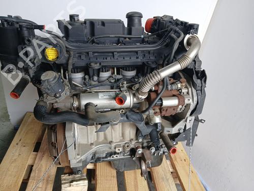 Engine FORD FIESTA VI (CB1, CCN)  | BP18253803M1 