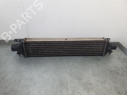 Intercooler Intercooler FIAT DOBLO Cargo (263_) 1.3 D Multijet (90 hp) 37183263 37183263