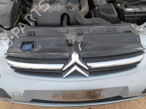 Grill CITROËN C5 I (DC_) 2.0 HDi (DCRHZB, DCRHZE) (109 hp) 28297200