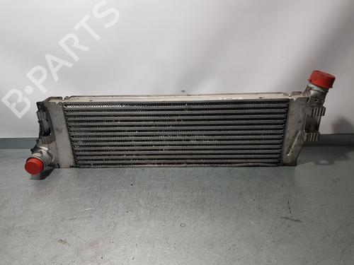 Used Intercooler RENAULT MEGANE II (BM0/1_, CM0/1_) [2001-2012]  7105059