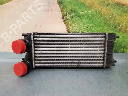 Used Intercooler PEUGEOT 3008 I MPV (0U_) [2009-2017]  5091127