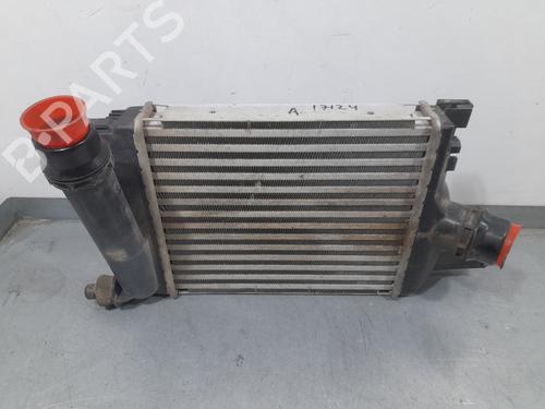 Intercooler DACIA LOGAN II TCe 90 LPG (90 hp) 29325657