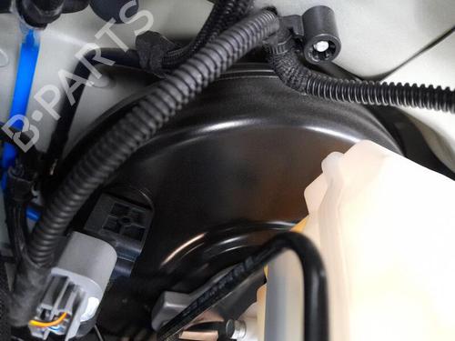 Servo brake FIAT PANDA (312_, 319_) 1.0 Mild Hybrid (312.PYD1B) | BP29371432M42 
