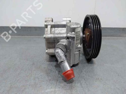Steering pump DACIA SANDERO 1.2 16V | BP25292504M99 