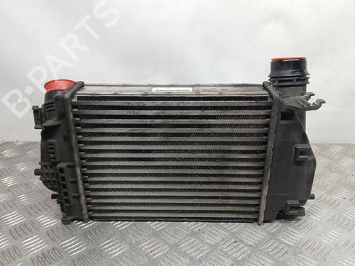 Intercooler NISSAN X-TRAIL III (T32_, T32R, T32RR) 1.6 dCi (T32) | BP24504715M30 