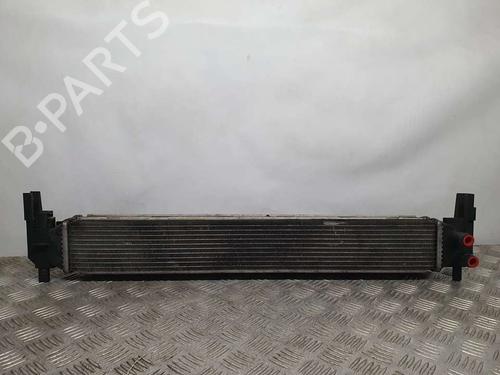 Used Water radiator SKODA FABIA III Estate (NJ5) 1.4 TDI (90 hp) 16964921