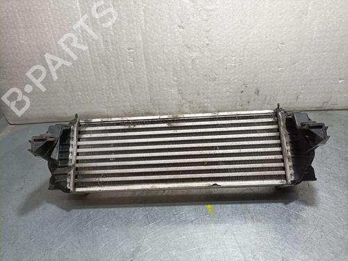 Intercooler FORD TOURNEO CONNECT | BP17439896M30