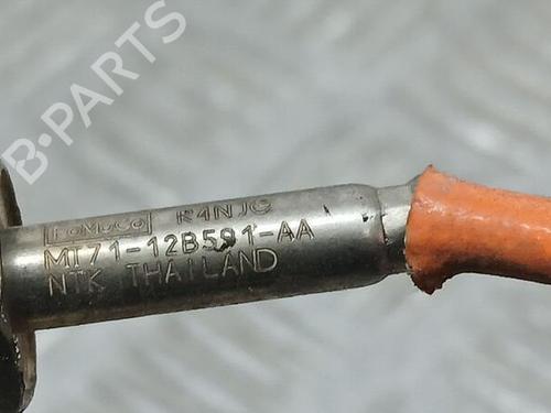 Elektronisk sensor FORD TOURNEO COURIER B460 MPV | BP30542556M84