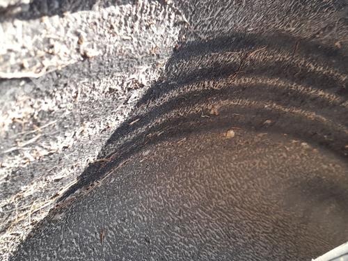 Used Wheel arch Wheel arch CITROËN C5 III (RD_) 2.0 HDi 140 (RDRHF8, RDRHFA, RDRHA8, RDRHAJ) (140 hp) 33436803 33436803