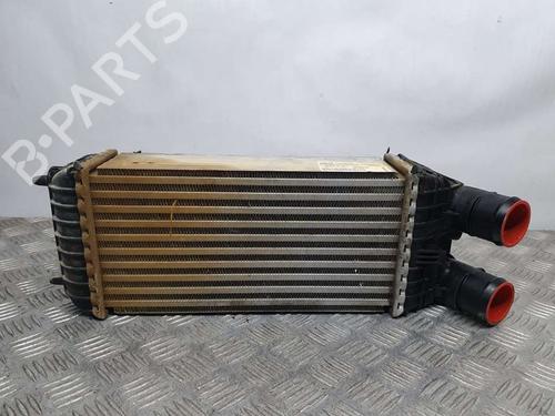 Used Intercooler OPEL CROSSLAND X / CROSSLAND (P17, P2QO) [2017-2026]  17063952