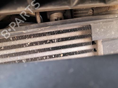 Used Intercooler RENAULT CLIO III (BR0/1, CR0/1) 1.5 dCi (BR17, CR17) (86 hp) 28732987