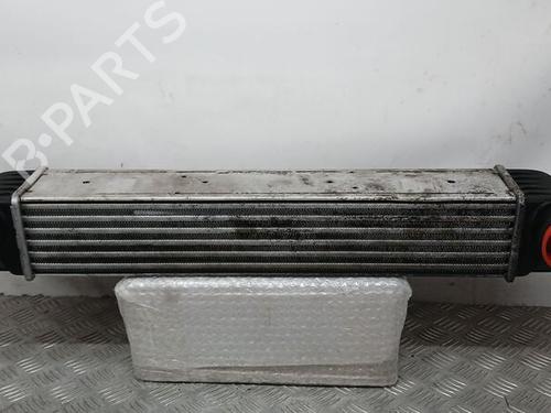 Used Intercooler BMW 5 (E39) 525 d (163 hp) 30329843