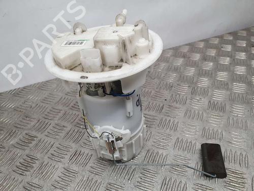 Fuel pump CITROËN C-ELYSEE (DD_)  | BP17063799M76 
