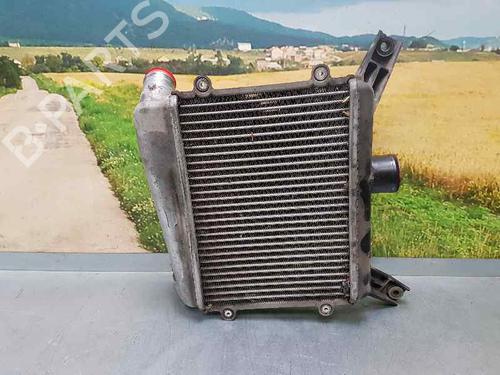 Intercooler TOYOTA RAV 4 II (_A2_)  | BP3721414M30 