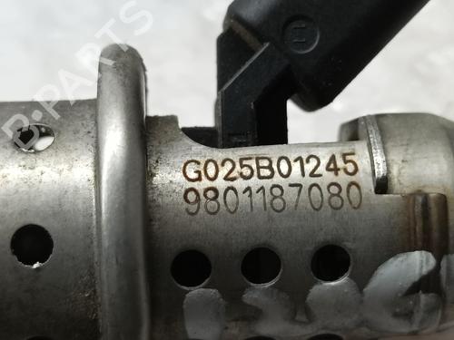 Other PEUGEOT 5008 (0U_, 0E_)  | BP14014567O1 