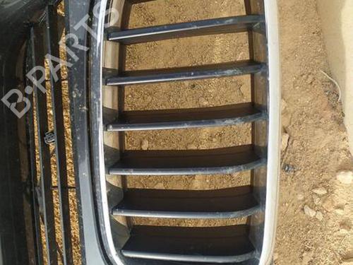 Used Grille BMW X5 (F15, F85) xDrive 40e (313 hp) 24676935