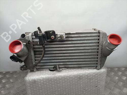 Used Intercooler HYUNDAI i20 ACTIVE (IB, GB) 1.0 T-GDI (101 hp) 8004456