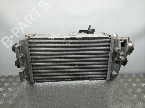 Intercooler HYUNDAI i20 ACTIVE (IB, GB) 1.0 T-GDI | BP8004456M30 