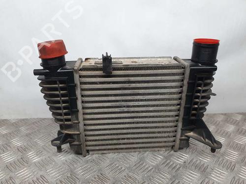 Used Intercooler RENAULT CLIO III (BR0/1, CR0/1) [2005-2014]  6165328