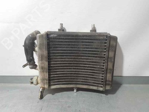 Used Water radiator APRILIA MOTORCYCLES SCARABEO Scarabeo 250 (TD) (22 hp) 24671882