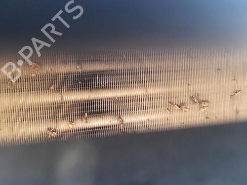 Used Water radiator VW TRANSPORTER T4 Van (70A, 70H, 7DA, 7DH) 2.4 D (78 hp) 28296770