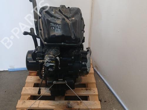 Motor TRIUMPH MOTORCYCLES TIGER ( -999cc) Tiger 800 XC (A08) (95 hp) 31975685