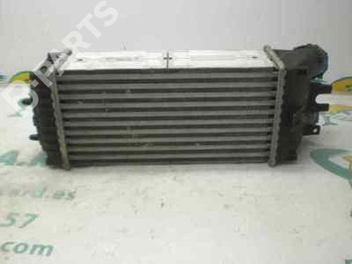 Intercooler CITROËN XSARA PICASSO (N68)  | BP123883M30 