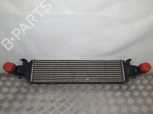 Intercooler MERCEDES-BENZ E-CLASS T-Model (S212) E 220 CDI / BlueTEC (212.202, 212.201) (170 hp) 9188743