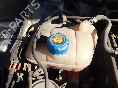 Ekpansionstank FIAT BRAVO II (198_) 1.9 D Multijet (198AXC1B) (150 hp) 31190595