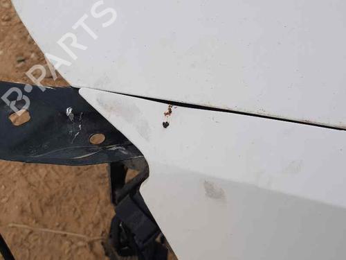 Left front fenders SKODA RAPID (NH3, NK3, NK6)  | BP23957361C41 