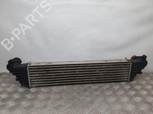 Intercooler FIAT TIPO Hatchback (356_, 357_)  | BP17622084M30 