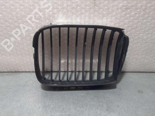 Grille BMW 5 (E39) 530 d | BP17063666C40 