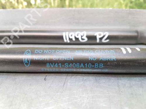 Tailgate lift support FORD KUGA I  | BP14011379C138 