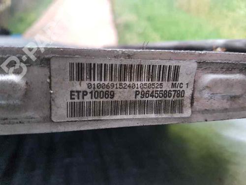 Water radiator PEUGEOT 407 (6D_)  | BP3013487M31 