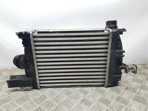 Intercooler DACIA SANDERO II  | BP10507989M30 