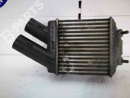 Intercooler RENAULT MEGANE I Coach (DA0/1_)  | BP2438421M30 