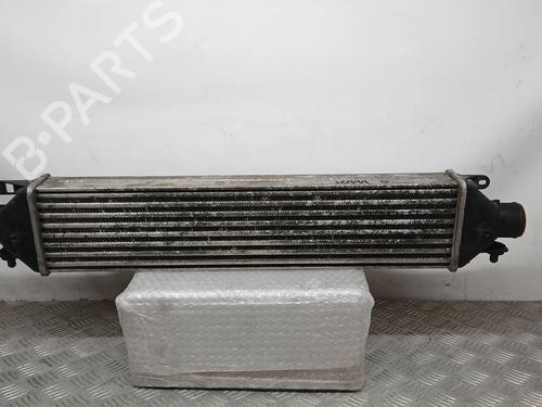 Used Intercooler FIAT DOBLO Bus (263_) 1.3 D Multijet (263AXC1A) (90 hp) 24677114