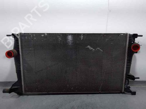 Køler RENAULT MEGANE III Coupe (DZ0/1_) [2008-2016]  20645231