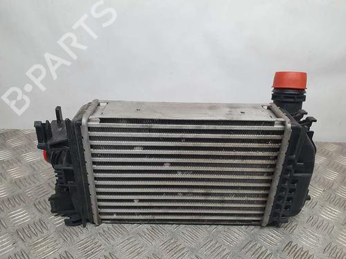 Intercooler NISSAN MICRA V (K14)  | BP12561960M30 