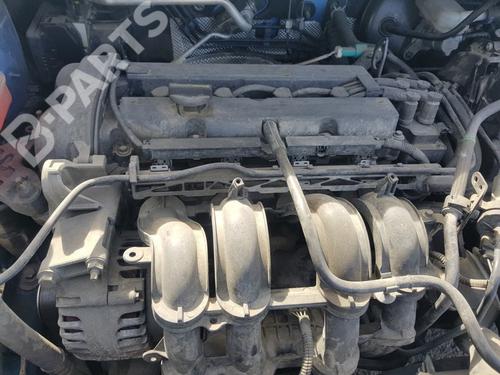 Used Engine Engine FORD FIESTA VI (CB1, CCN) 1.25 (82 hp) 10501573 10501573