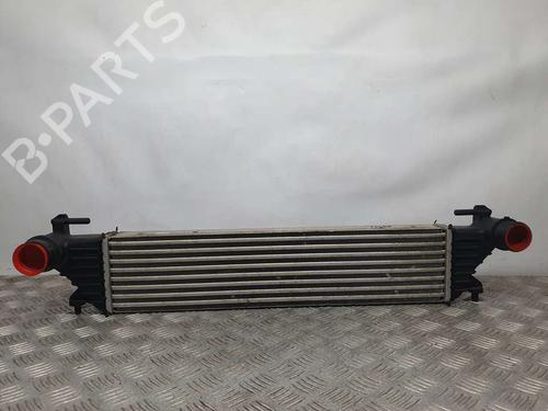Used Intercooler FIAT TIPO Hatchback (356_, 357_) [2016-2025]  17622084