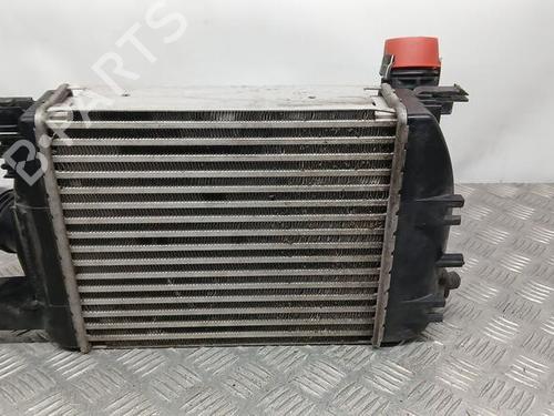 Intercooler DACIA DUSTER (HM_) 1.3 TCe 150 4x4 (HMM3) | BP24675280M30