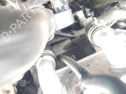 Used Starter Starter RENAULT CAPTUR II (HF_) TCe 100 (HFMT) (101 hp) 33557536 33557536