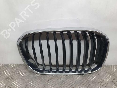Grill BMW 1 (F21) 116 i (109 hp) 17445885