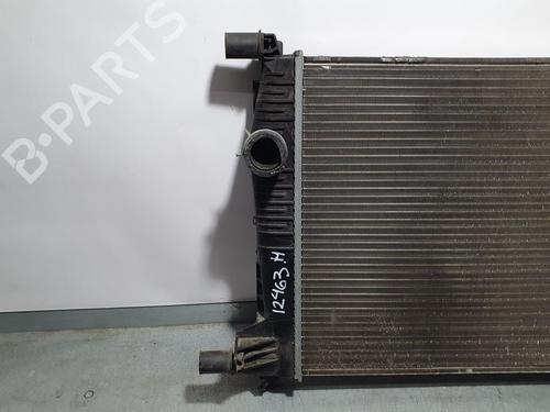 Køler RENAULT SCÉNIC III (JZ0/1_)  | BP5213774M31 