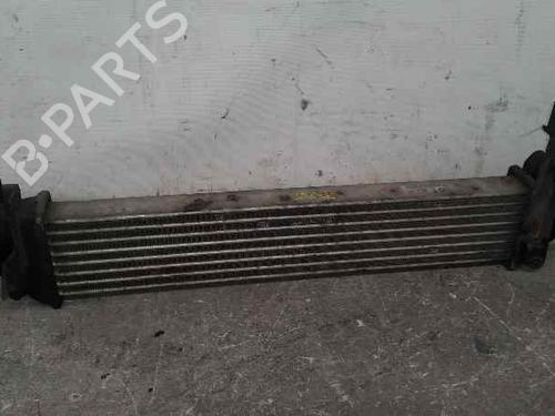Used Intercooler RENAULT KANGOO Express (FC0/1_) [1997-2025]  318263